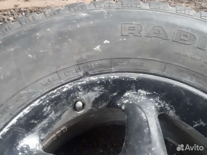 Продам колемо