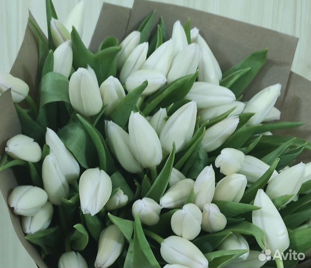 Тюльпаны оптом и в розницу