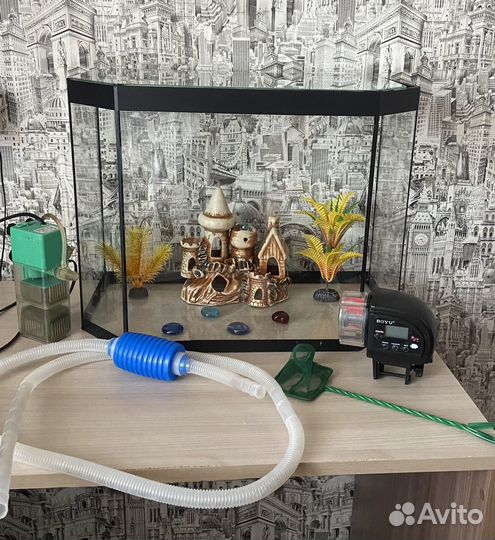 Аквариум