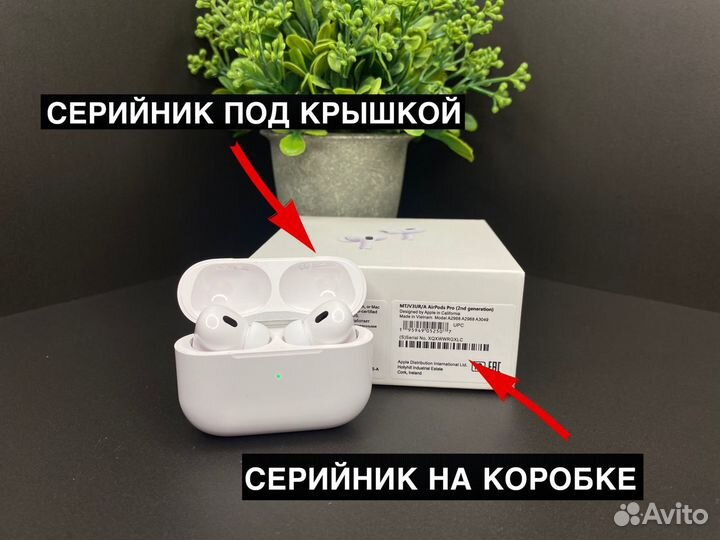 AirPods Pro 2 (доставка/гарантия)