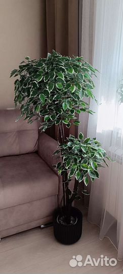 Искусственное дерево фикус, бамбук