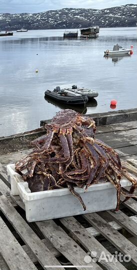 Краб варёный