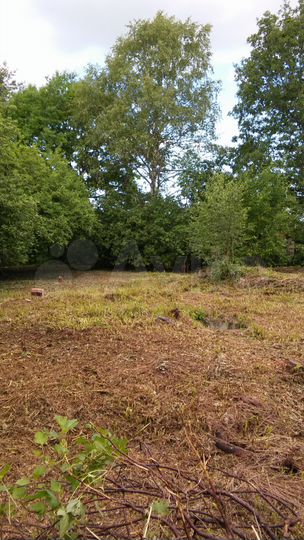 Участок 16,5 сот. (ИЖС)