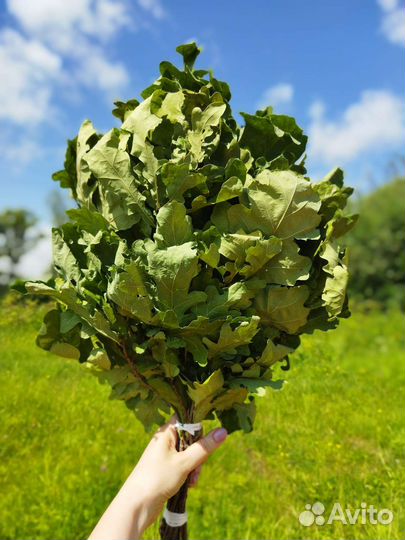 Веники для бани