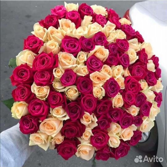 Розы, цветы, букеты Волгоград