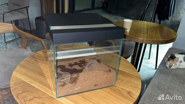 Террариум для паука