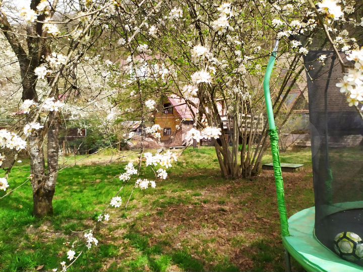 Дом 140 м² на участке 36 сот.