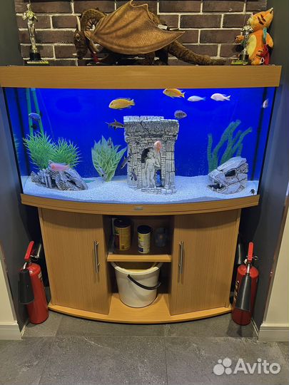 Аквариум Juwel Vision 260 LED с тумбой