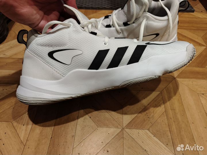 Кроссовки adidas pro next