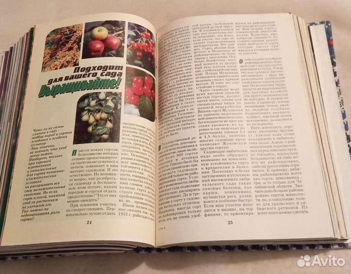 Журналы Приусадебное хозяйство за 1996 год