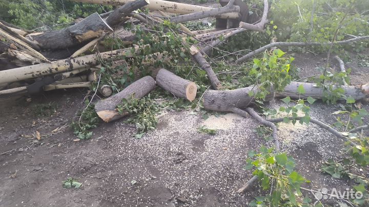 Покос травы,спил деревьев,и расчистка участков