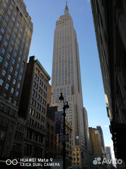 Репетитор Английского из США