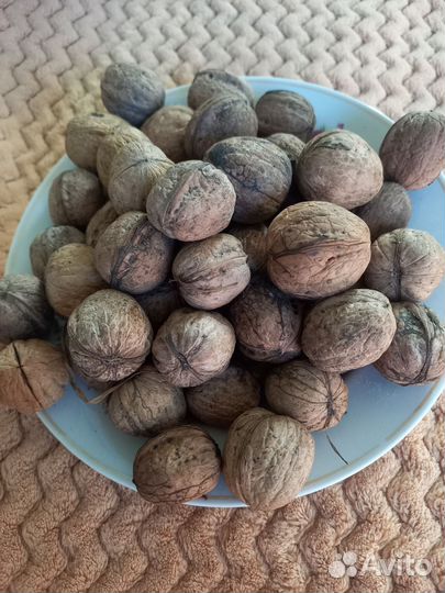 Продам грецкие орехи в скарлупе