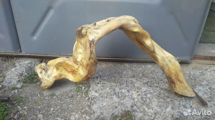 Коряги(корни) в аквариум