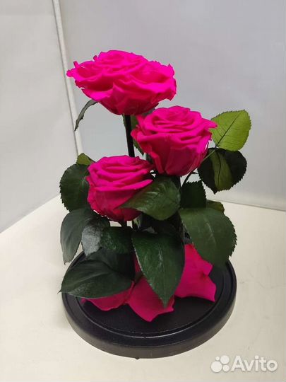 Подарок маме/ цветы оптом