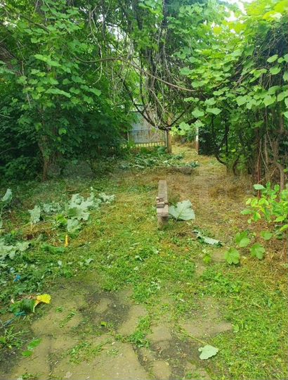 Дом 45 м² на участке 20 сот.