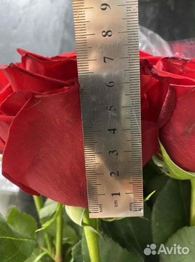 Высокие розы, 70,80, 90 см, розы, букеты