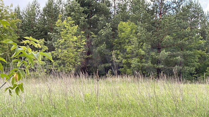 Участок 8 сот. (СНТ, ДНП)