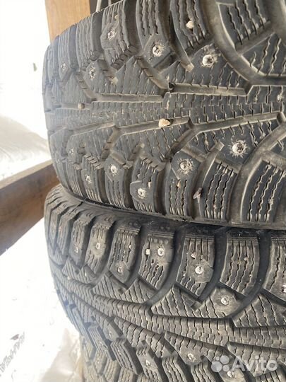 Nordman 5 175/65 R14