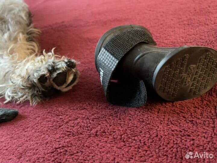 Обувь для собаки на липучке MyPet