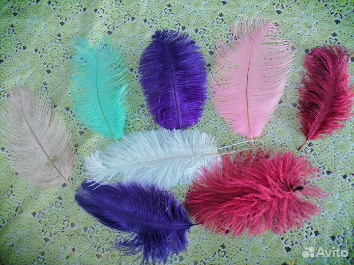 Сухоцветы для творчества