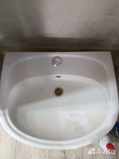 Раковина с тюльпаном