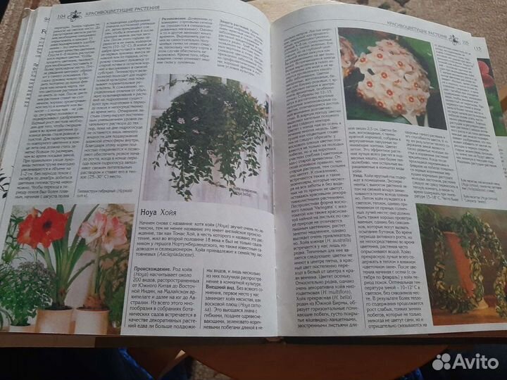 Книги о комнатных растениях