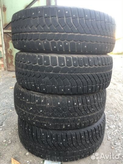 Viatti Bosco Nordico V-523 205/55 R16