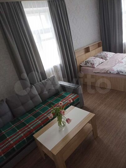 1-к. квартира, 29 м², 1/2 эт.