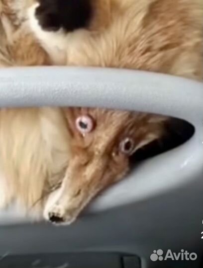 Демонтажные работы