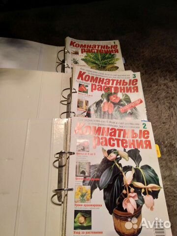 Хобби и отдых