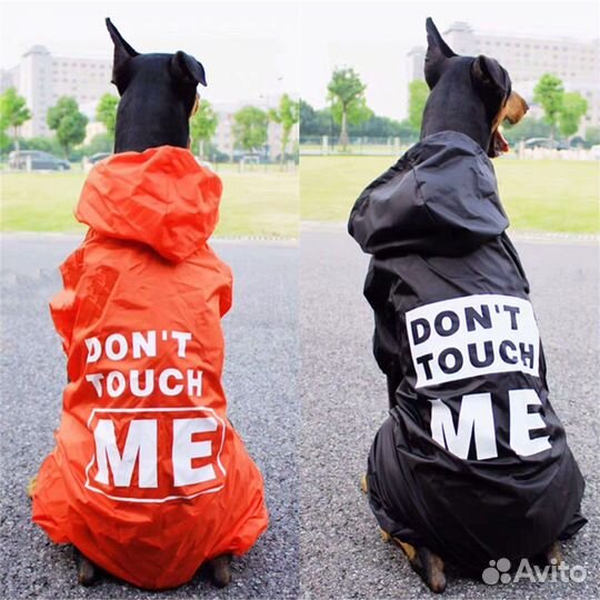 Дождевики для собак разных пород