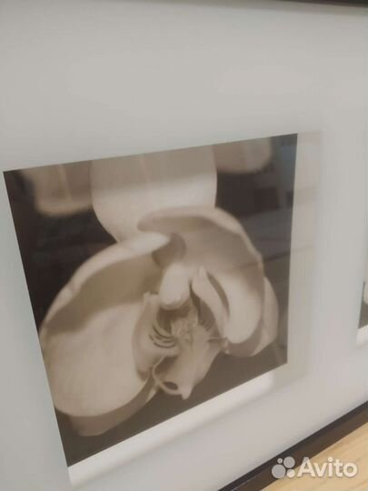 Картины из IKEA