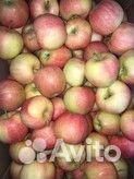 Яблоки опт. продажа