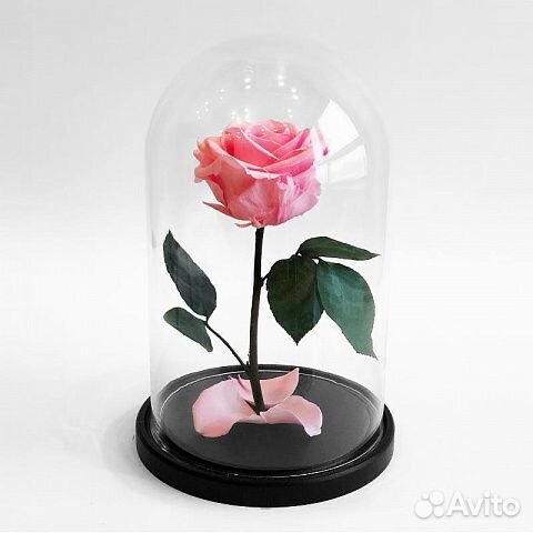 Роза в колбе 