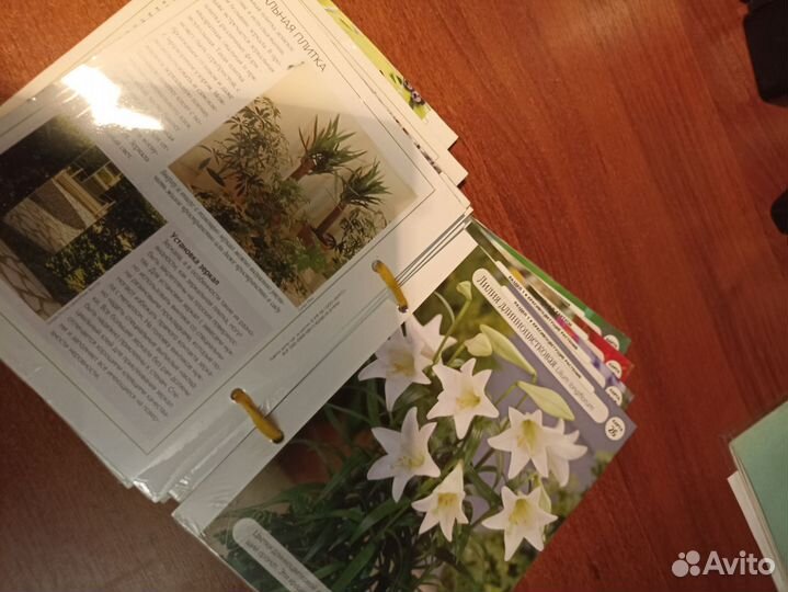 Серия по садоводству, растения