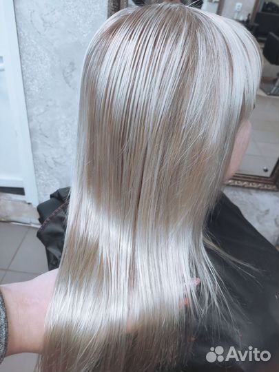 Предложение