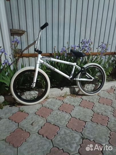 Bmx WTP Reason 2015 (20.75)