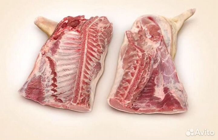 Мясо свинина