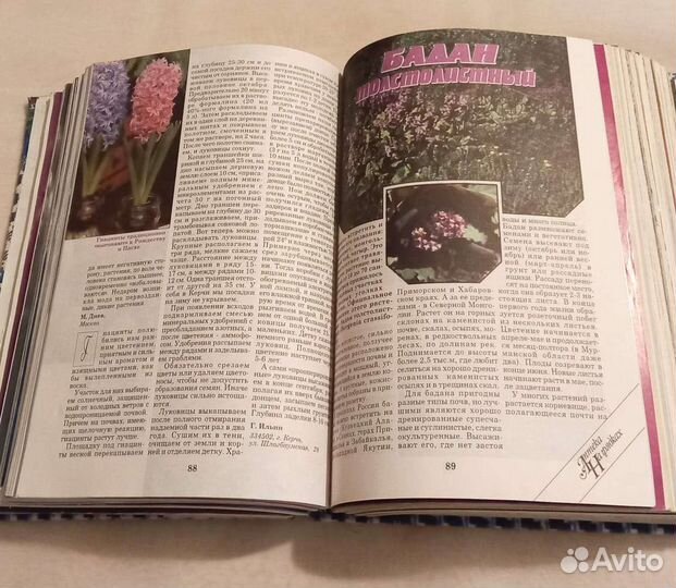 Журналы Приусадебное хозяйство за 1996 год