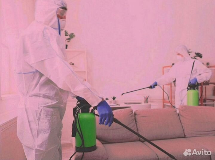 Обработка от насекомых, крыс, клопов