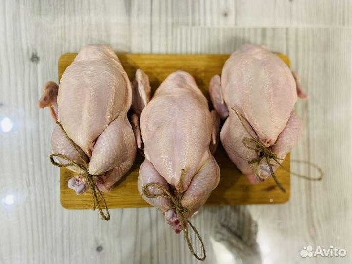 Мясо домашней курицы, кур