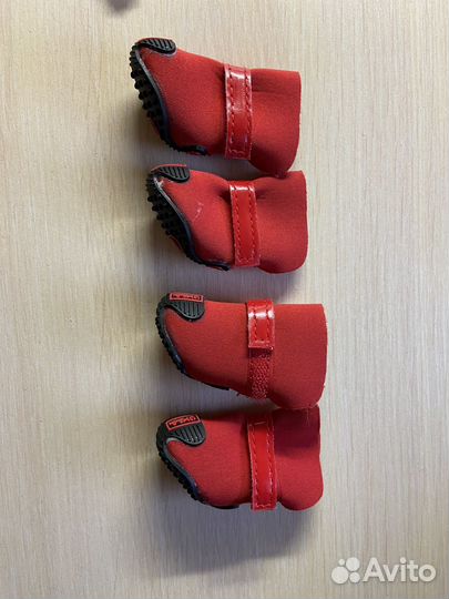 Ботинки для маленьких собак