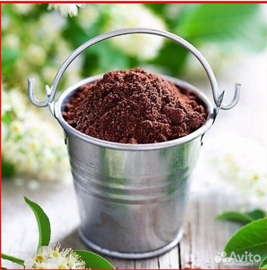 Черёмуха молотая. Высшего сорта. Плоды черемухи