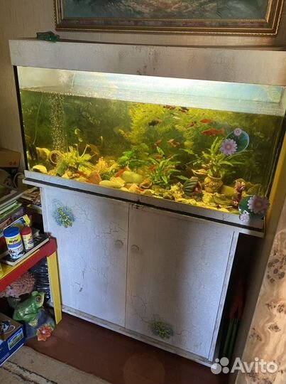Аквариум с тумбой 200 литров