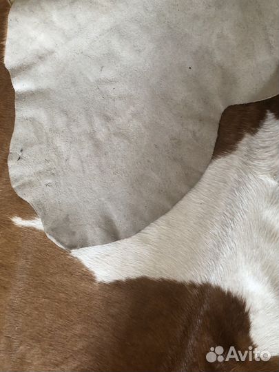 Ковер натуральная шкура коровы Египет
