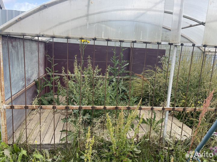 Вольер для собак