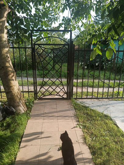 Дом 72,5 м² на участке 6 сот.