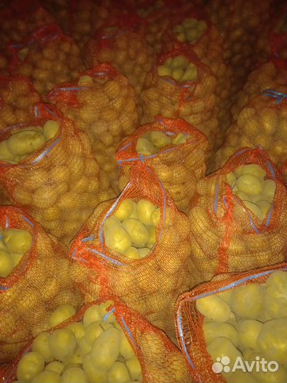 Продается картофель