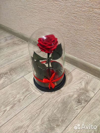 Розы в колбе в наличии в Челнах